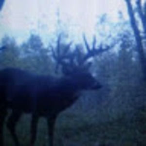 Meet your Posher, Arthur